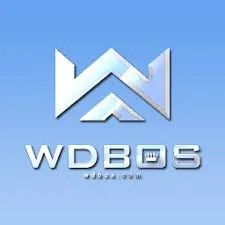 WDBOS - Game Balap Motor Seru dan Menantang